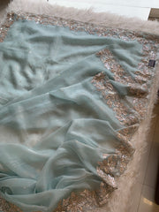 Designer Crush Organza Saree with Imported Sequin 5937 01