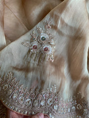 Organza Saree with Dori, Sequin, Pearl & Thread 5918 01