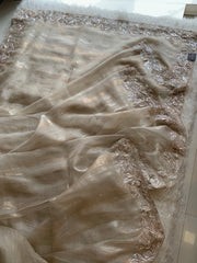 Designer Crush Organza Saree with Imported Sequin 5937 01
