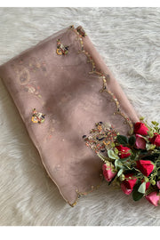 Tissue Organza Saree 5822 02