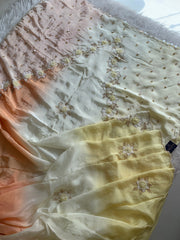 Ombre Habutai Silk Saree with Floral Appliqué, Cutdana & Zardosi Work 5901 06