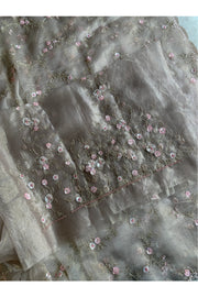 Beige Crush Organza Saree 5759 07