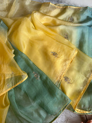 Yellow & Green Shaded Kora Silk Saree 5919 09