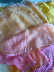 Multicolor Kora Silk Saree 5919 10