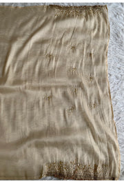 Beige Tissue Organza Saree 5765 07 (PRE ORDER)