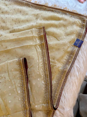 Tissue Organza Saree with Designer Tassel Pallu & Contrast Blouse 5940 04