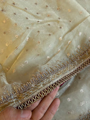 Tissue Organza Saree with Designer Tassel Pallu & Contrast Blouse 5940 04