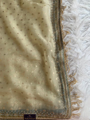 Tissue Organza Saree with Designer Tassel Pallu & Contrast Blouse 5940 04