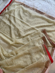 Tissue Organza Saree with Designer Tassel Pallu & Contrast Blouse 5940 04