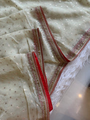 Tissue Organza Saree with Designer Tassel Pallu & Contrast Blouse 5940 04