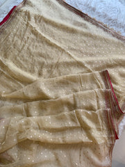 Tissue Organza Saree with Designer Tassel Pallu & Contrast Blouse 5940 04