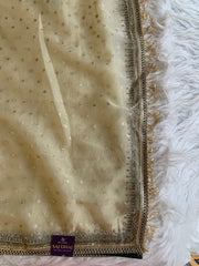 Tissue Organza Saree with Designer Tassel Pallu & Contrast Blouse 5940 04