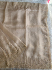 Organza Saree with All-Over Cutdana & Sequin Work 5912 01