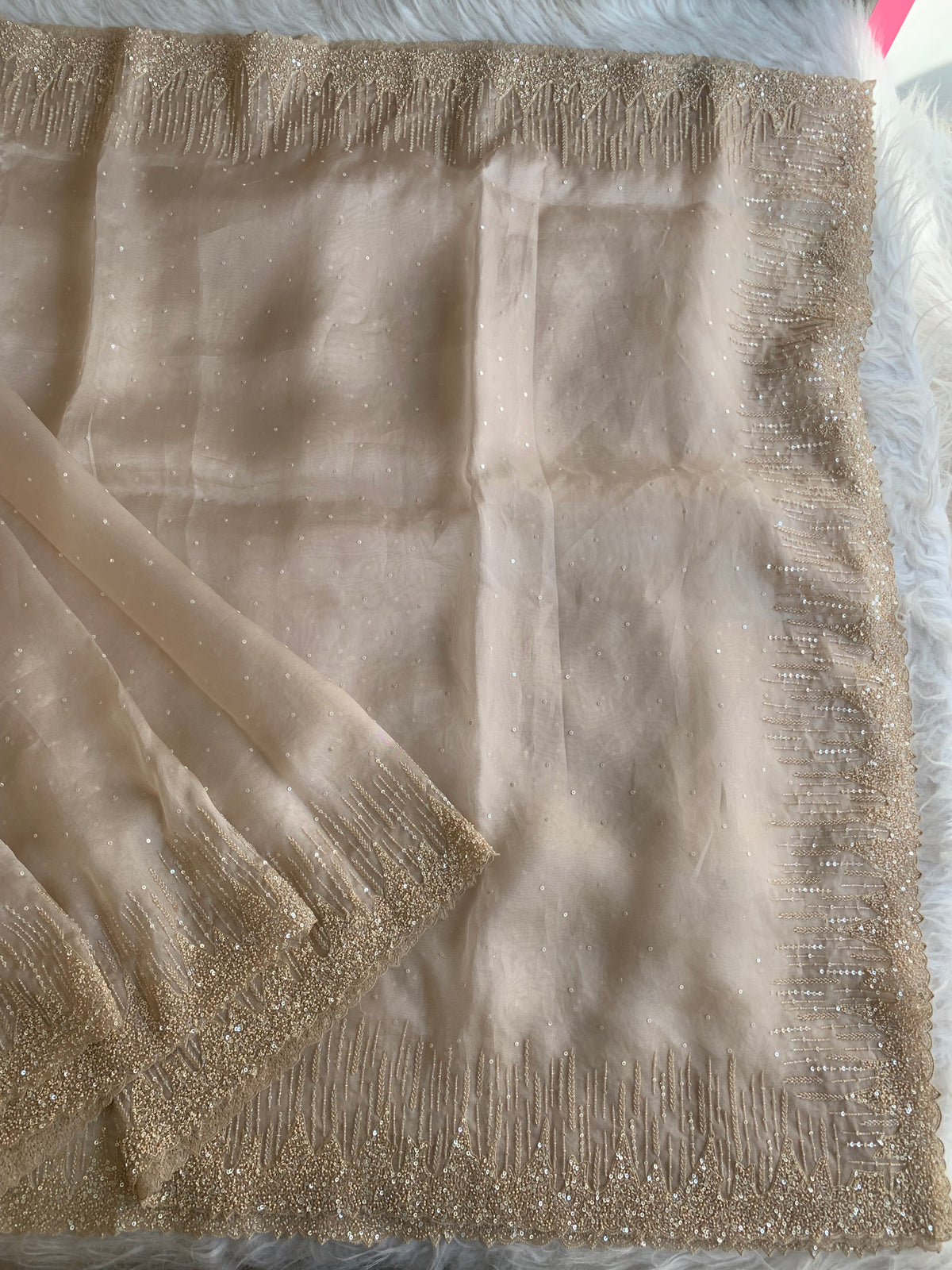 Organza Saree with All-Over Cutdana & Sequin Work 5912 01