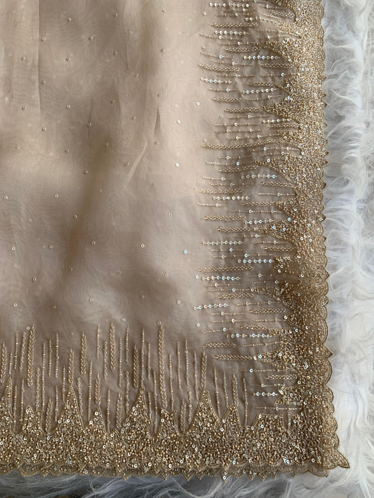 Organza Saree with All-Over Cutdana & Sequin Work 5912 01