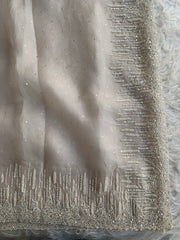 Organza Saree with All-Over Cutdana & Sequin Work 5912 01