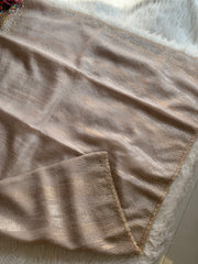 Beige Crush Organza Saree with Imported Sequin Work 5847 02