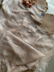 Beige Crush Organza Saree with Imported Sequin Work 5847 02
