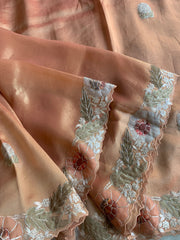 Peach Tissue Saree with Appliqué & Pittan Work 5888 15