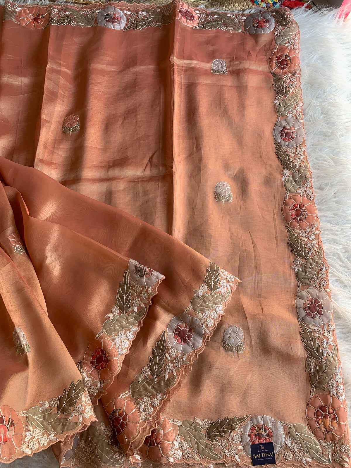 Peach Tissue Saree with Appliqué & Pittan Work 5888 15