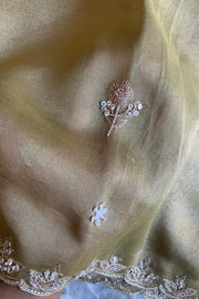 Embellished Tissue Saree 5764 17