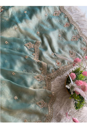 Tissue Organza Saree 5775 03