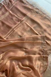Rust Orange Tissue Saree 5361 12 (PRE ORDER)