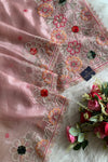 Tissue Organza Saree 5786 09