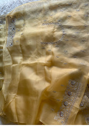 Light Yellow Kora Organza Saree 5750 07