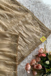 Beige Tissue Organza Saree 5765 07 (PRE ORDER)