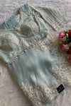 Sky Blue Tissue Organza Saree 5801 02 (PRE ORDER)
