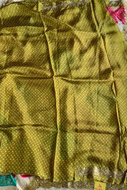 Multicolor Russian Silk Saree Border 5755 04